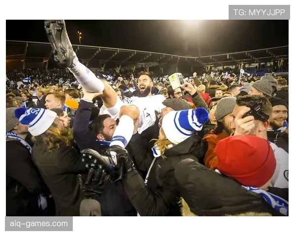 芬兰队长袖标引热议：团结与责任感的象征激发全民共鸣